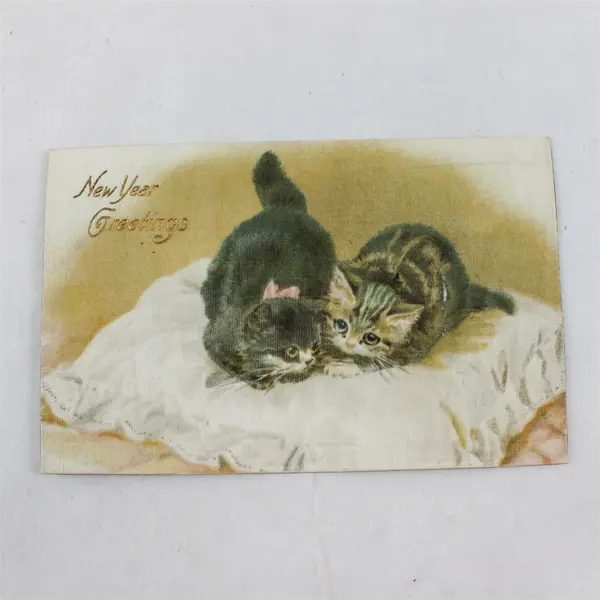 Vintage 1907 New Year Greetings Kittens On Pillow Postcard Hilts Calif Postmark