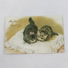 Vintage 1907 New Year Greetings Kittens On Pillow Postcard Hilts Calif Postmark