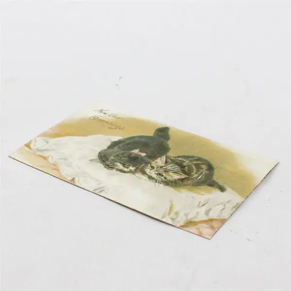 Vintage 1907 New Year Greetings Kittens On Pillow Postcard Hilts Calif Postmark