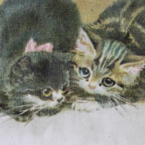 Vintage 1907 New Year Greetings Kittens On Pillow Postcard Hilts Calif Postmark