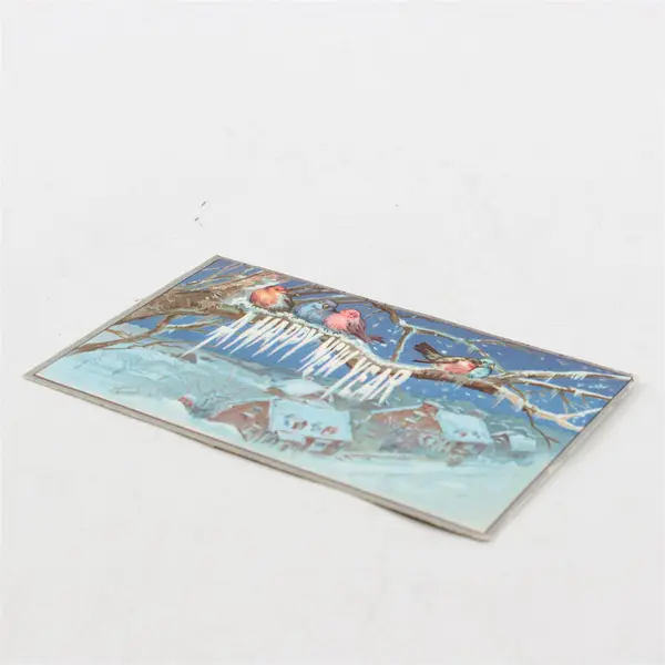 Vintage 1909 A Happy New Year Birds Snowy Scene Embossed Postcard
