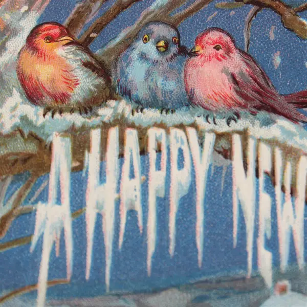 Vintage 1909 A Happy New Year Birds Snowy Scene Embossed Postcard