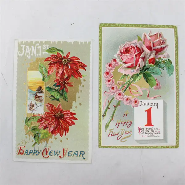 Lot of 2 Vintage 1910s Happy New Year Flower Embossed Postcards