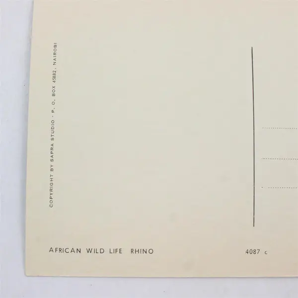 Vintage African Wildlife Rhino Postcard Sapra Studio Nairobi 4087-C