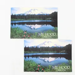 Lot Of 2 Vintage Mt Hood Oregon Postcards Craig Tuttle Smith-Western