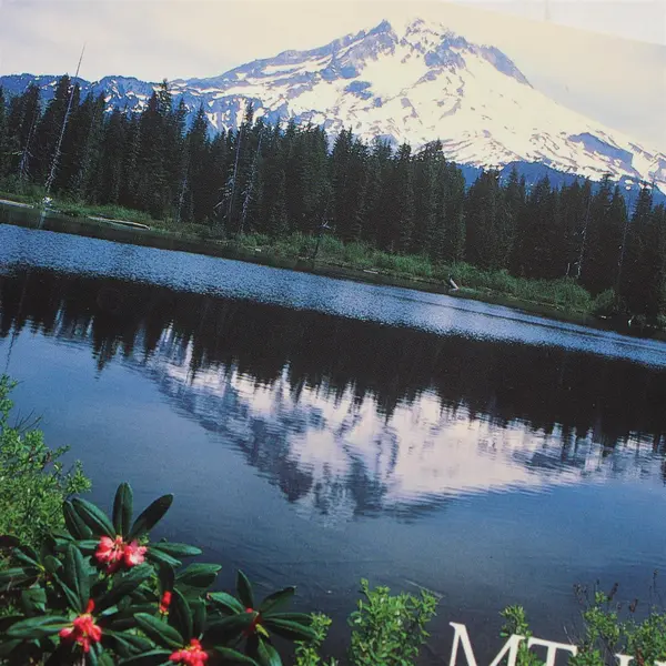 Lot Of 2 Vintage Mt Hood Oregon Postcards Craig Tuttle Smith-Western