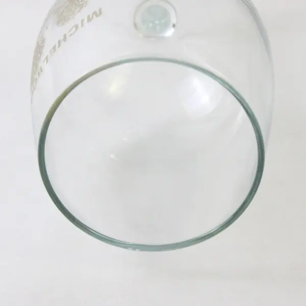 Lot of 2 MICHELBOOK Country Club 50th Anniversary Clear Wine Glasses