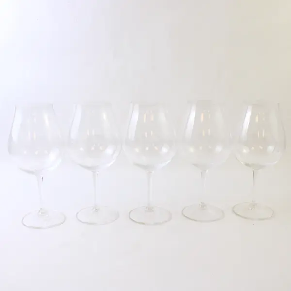 Lot Of 5 Assorted Willamette Valley Winery Clear Glass Wine Glasses 9.25" Tall