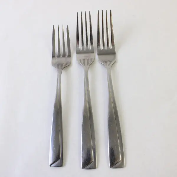 One Pastry, Two Dinner Stainless Pfaltzgraff Forks in the Pattern Portrait