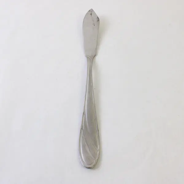Sugar Spoon and Butter Knife in the Pattern PFF38 by Pfaltzgraff