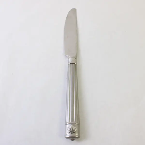 Two Dinner Knives and a Tablespoon in the Pattern PFF14 by Pfaltzgraff