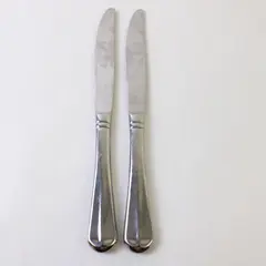Two Stainless Colette Dinner Knives by Mikasa