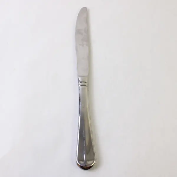 Two Stainless Colette Dinner Knives by Mikasa