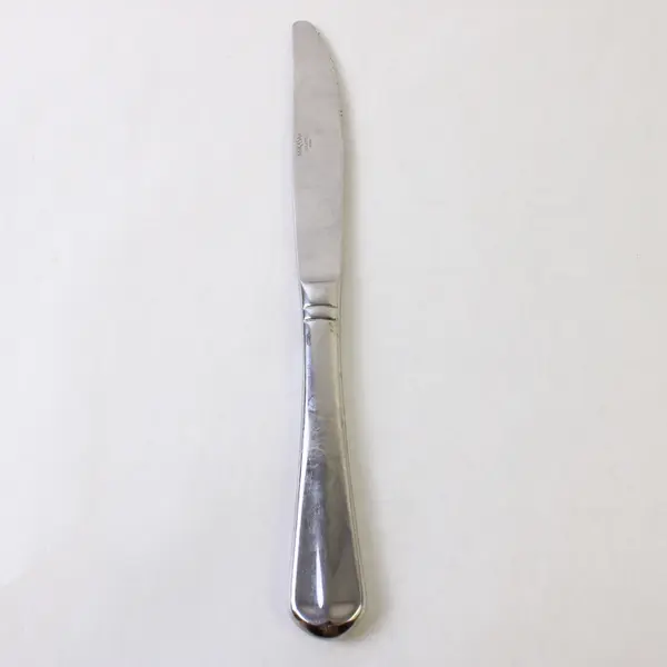 Two Stainless Colette Dinner Knives by Mikasa
