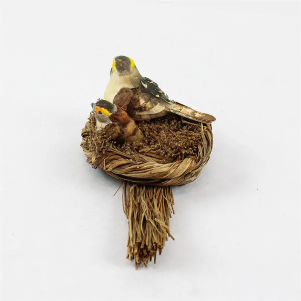 Raz Imports Birds in Nest Decorative Figure Craft Accent