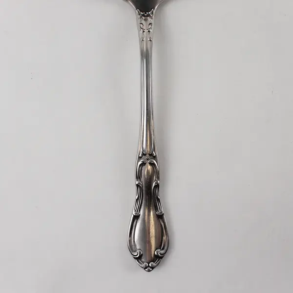 Stainless Gravy Ladle by Towle in the Pattern Merrimack