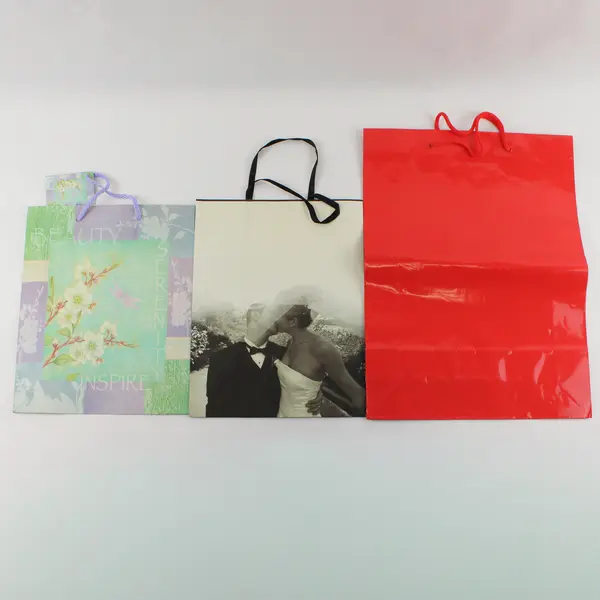 Lot of 14 Floral and Miscellaneous Gift Bags Varied Sizes