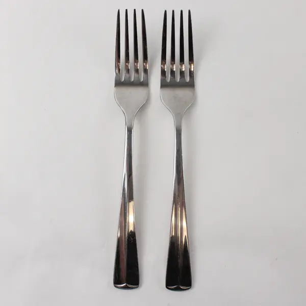 Two Stainless  Dinner Forks by Towle in the Pattern TWS47