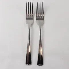 Two Stainless  Dinner Forks by Towle in the Pattern TWS47