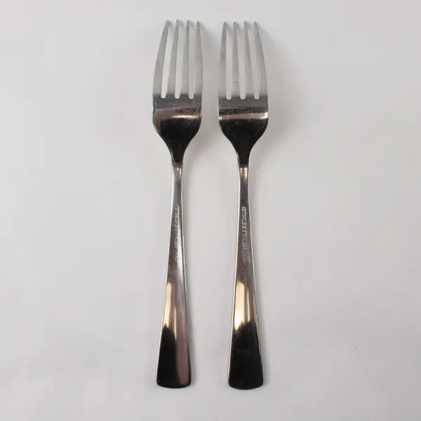 Two Stainless  Dinner Forks by Towle in the Pattern TWS47
