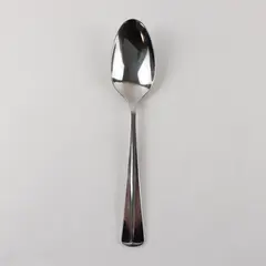  Stainless Serving Spoon by Towle in the Pattern TWS47
