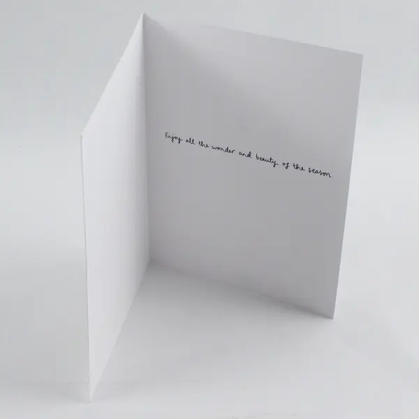 Biely & Shoaf Co. Louise Mulgrew Winter Wishes Greeting Card w/ Envelope