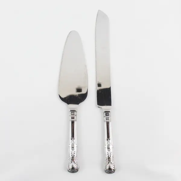 Wilton Stainless Steel Cake And Knife Serving Set For Weddings Anniversaries