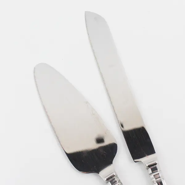 Wilton Stainless Steel Cake And Knife Serving Set For Weddings Anniversaries