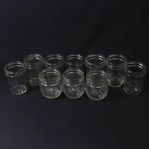 Lot of 10 Assorted Ball and Kerr Half Pint Canning Jars No Lids