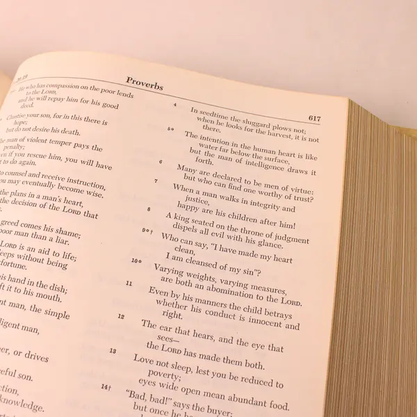 Vintage Holy Bible Catholic Bible Publishers Hardcover Family Edition