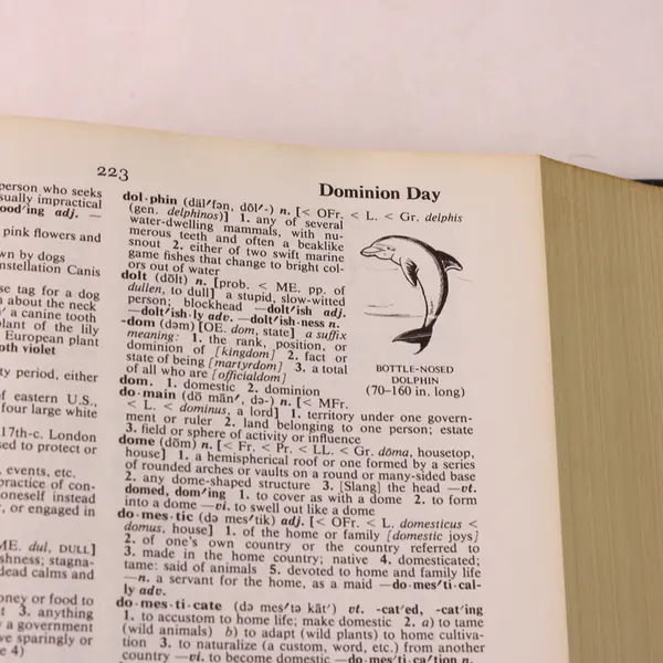 VTG Webster's New World Dictionary w/Student Handbook Concise Edition 1978 HC