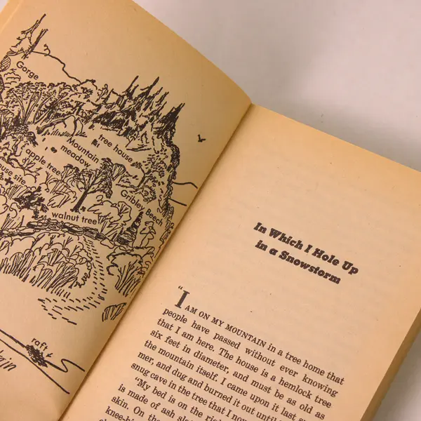 My Side of the Mountain Jean George Scholastic Inc Paperback