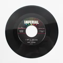 Ricky Nelson - I Got A Feeling -Lonesome Town 7" Vinyl Record