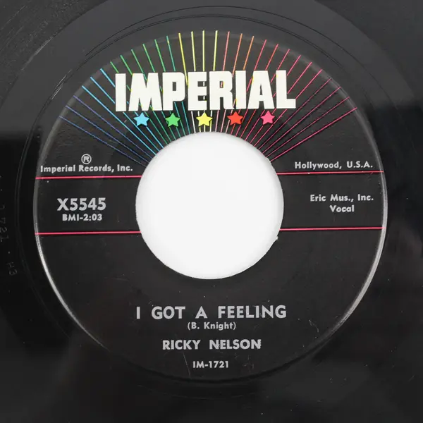 Ricky Nelson - I Got A Feeling -Lonesome Town 7" Vinyl Record