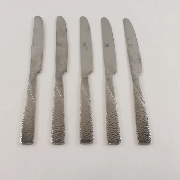 Five Barletta Dinner Knives From the Gourmet Basics Collection by Mikasa