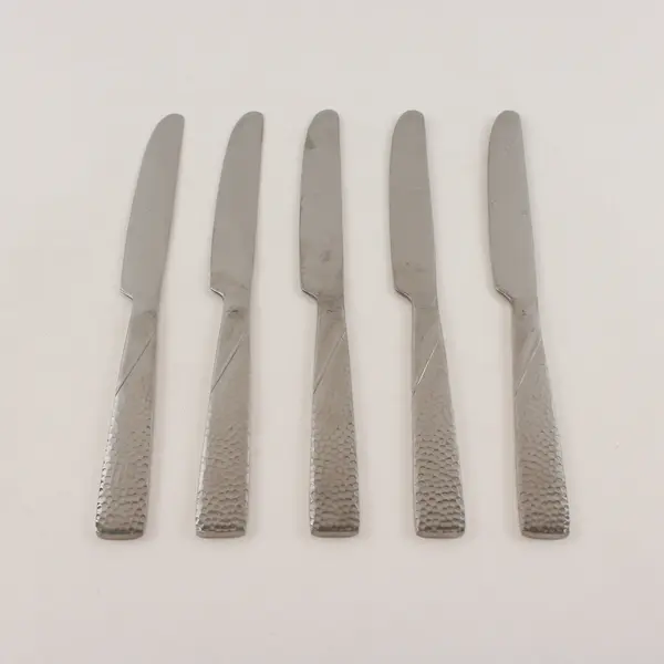 Five Barletta Dinner Knives From the Gourmet Basics Collection by Mikasa