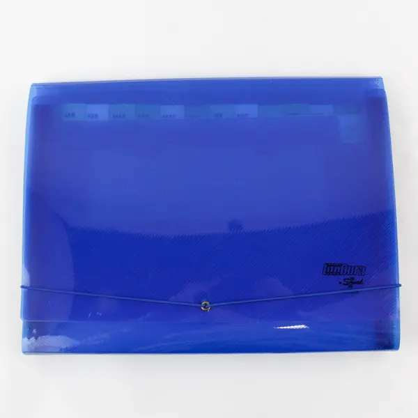 Lot of 2 Smead Docu Manager Teal Blue Expanding Monthly Accordion File Folders
