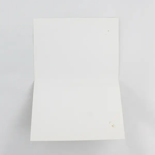 Lot of 3 B&V Cat Photograph Blank Notecards with Envelopes