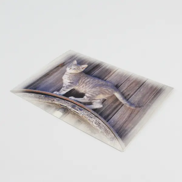 Lot of 3 B&V Cat Photograph Blank Notecards with Envelopes