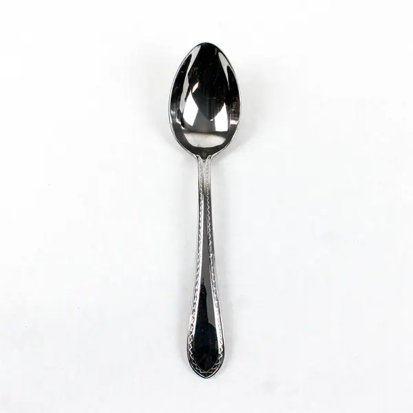 Reed & Barton Helena Maria 9in Stainless Steel Serving Spoon