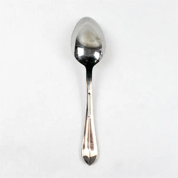 Reed & Barton Helena Maria 9in Stainless Steel Serving Spoon