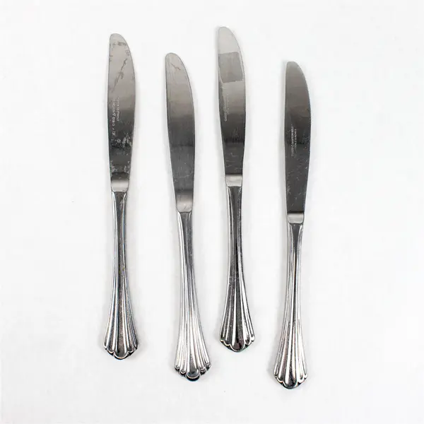 Lot of 4 Reed & Barton Esteril Stainless Steel Solid Dinner Knives 9-1/8"