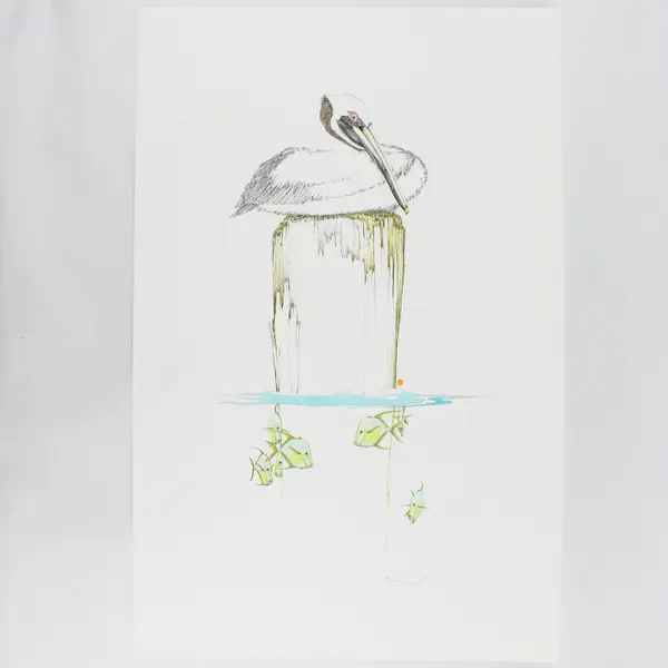Peter Parnall Pelican Art Print Signed Numbered 598/1500