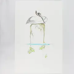Peter Parnall Pelican Art Print Signed Numbered 598/1500