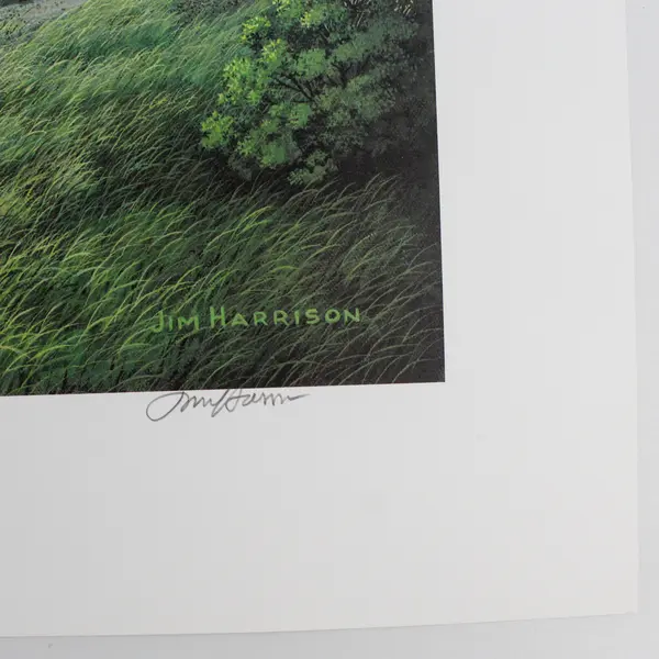 1995 Jim Harrison Summer Coca-Cola Bridge Signed Numbered Print COA