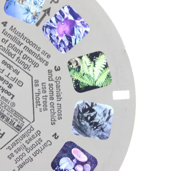 View-Master Vintage The Plant Kingdom Reel 1969