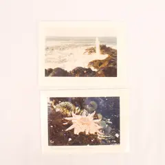 Lot of 2 Sealed Mona Lee Oregon Greeting Cards with Envelopes