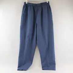 Briggs New York Blue Elastic Waist Pull-On Pants Women's Size 12