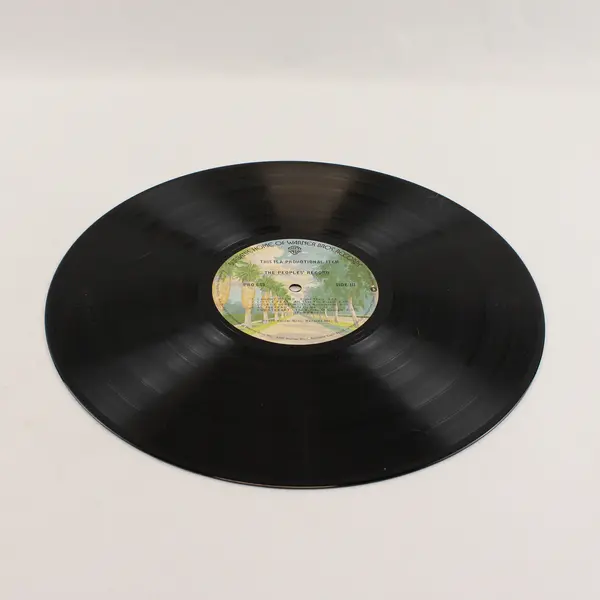 The Peoples' Record Promo LP Side III/IV Warner Bros. 1976 Various