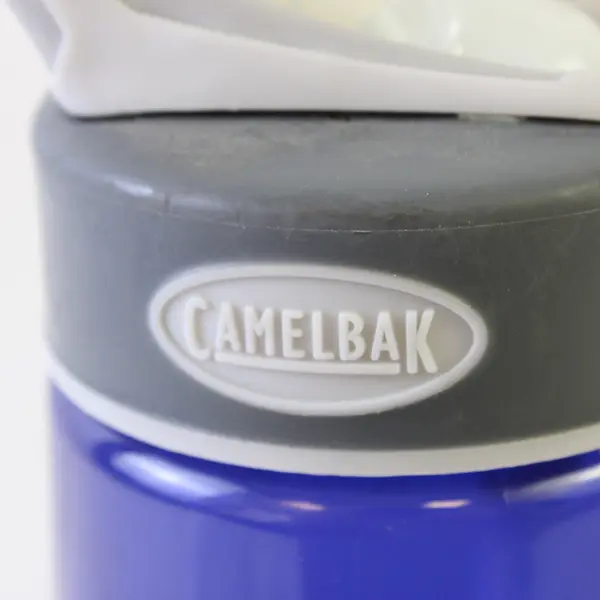 CamelBak Eddy 25oz Blue Purple Botanical Graphic Water Bottle